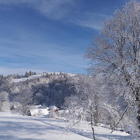 Верховинський Котедж Bukovets Buitenkant foto