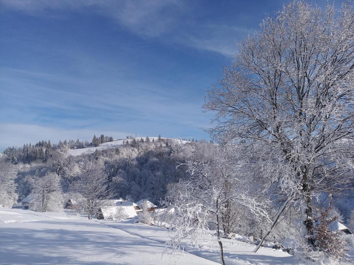 Верховинський Котедж Bukovets Buitenkant foto