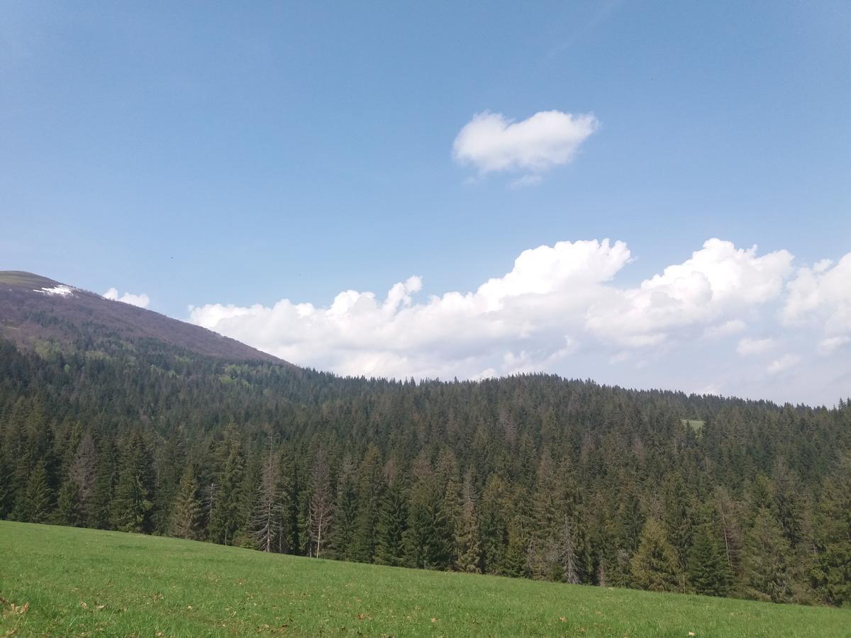 Верховинський Котедж Bukovets Buitenkant foto