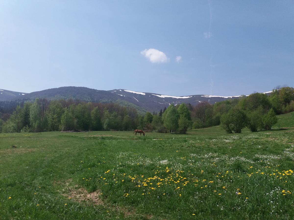 Верховинський Котедж Bukovets Buitenkant foto