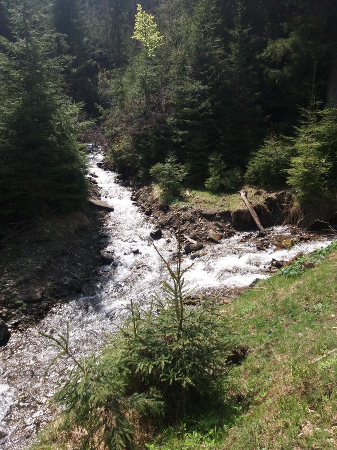 Верховинський Котедж Bukovets Buitenkant foto