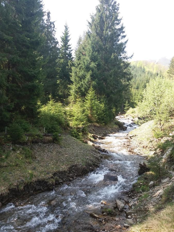 Верховинський Котедж Bukovets Buitenkant foto